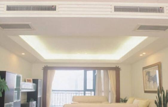 中央樱花视频免费观看不出風怎麽辦？中央樱花视频免费观看怎麽養護？