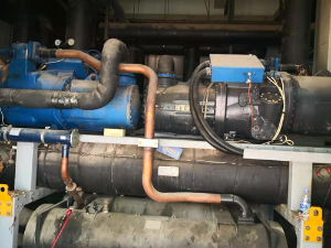 樱花草在线观看萊富康樱花视频黄APP維修